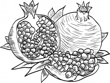 Antistress coloring book with grenades